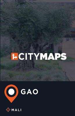 Book cover for City Maps Gao Mali