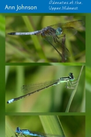 Cover of Dragonflies and Damselflies in Your Pocket
