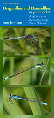 Cover of Dragonflies and Damselflies in Your Pocket