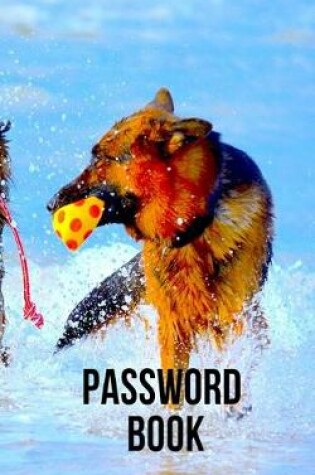 Cover of Password Book