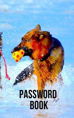 Book cover for Password Book