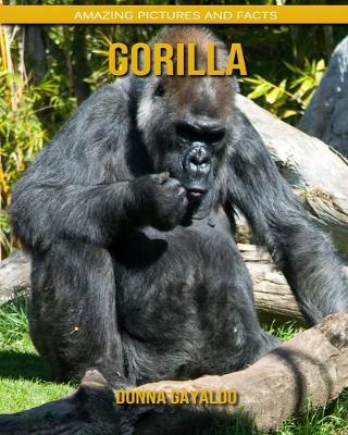 Book cover for Gorilla