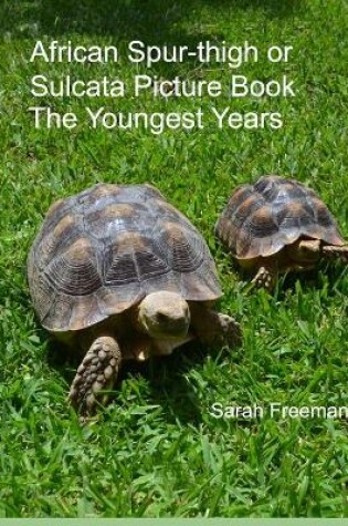 Cover of African Spur-thigh or Sulcata Picture Book - The Youngest Years