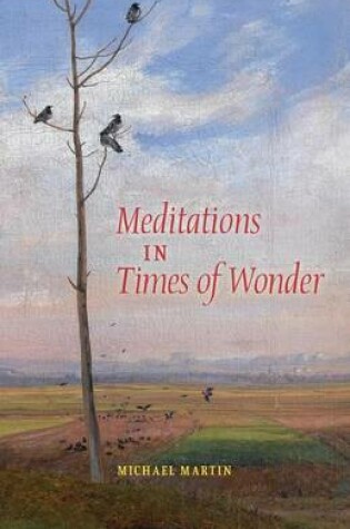 Cover of Meditations in Times of Wonder