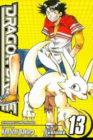 Cover of Dragon Drive, Volume 13