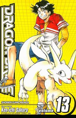 Cover of Dragon Drive, Volume 13