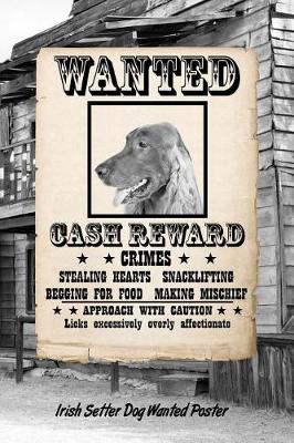 Book cover for Irish Setter Dog Wanted Poster