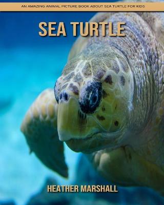 Book cover for Sea Turtle