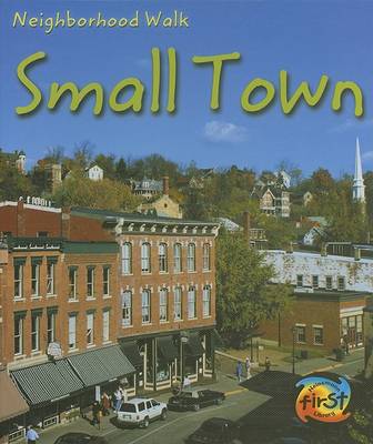 Book cover for Small Town