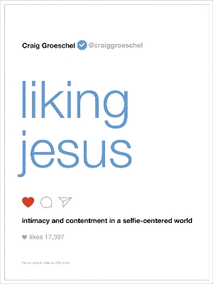 Book cover for Liking Jesus