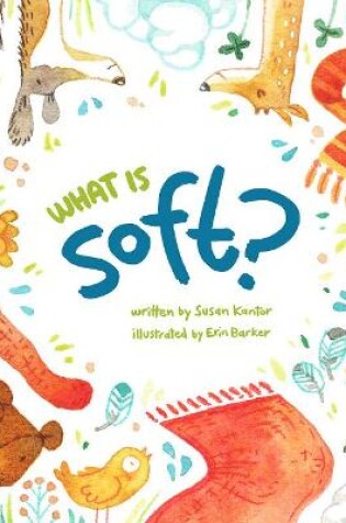 Cover of What is Soft?