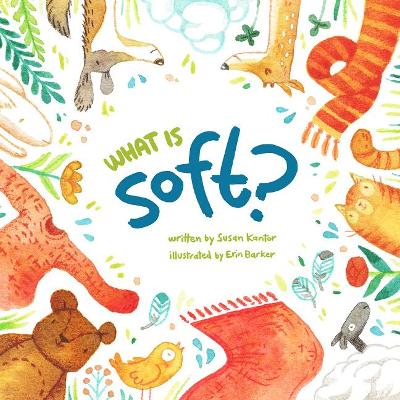 Book cover for What is Soft?