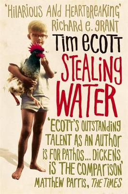 Book cover for Stealing Water