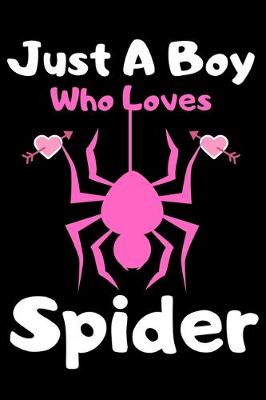 Book cover for Just a boy who loves spider