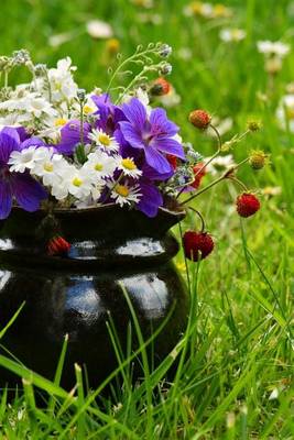 Book cover for A Pitcher Turned Planter in the Grass, for the Love of Flowers