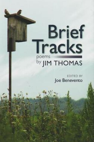 Cover of Brief Tracks