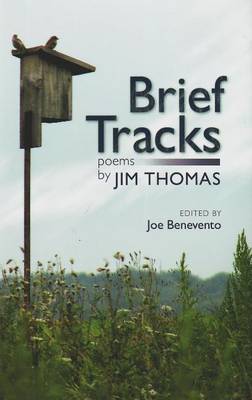 Book cover for Brief Tracks