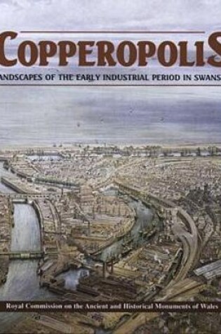 Cover of Copperopolis - Landscapes of the Early Industrial Period in Swansea