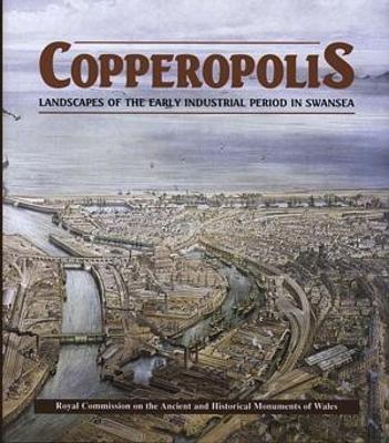 Book cover for Copperopolis - Landscapes of the Early Industrial Period in Swansea