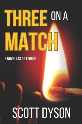 Cover of 3 on a Match