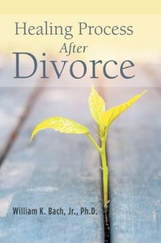 Cover of Healing Process After Divorce