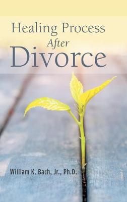 Book cover for Healing Process After Divorce