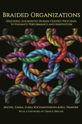 Book cover for Braided Organizations