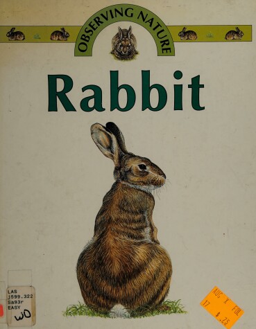 Cover of Rabbit