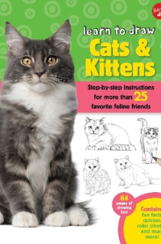 Cover of Learn to Draw Cats & Kittens