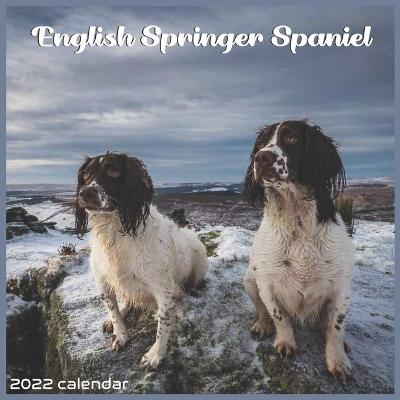 Book cover for Jack Russell Terrier 2022 Calendar