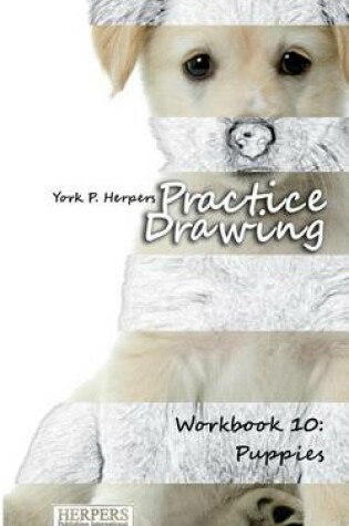 Cover of Practice Drawing - Workbook 10