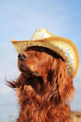 Book cover for The Irish Setter in a Hat Dog Journal