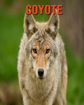 Book cover for Coyote