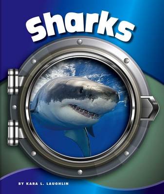 Book cover for Sharks