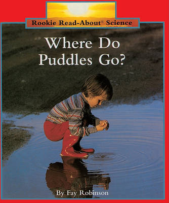 Book cover for Where Do Puddles Go?