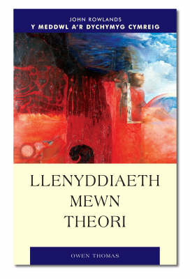 Book cover for Llenyddiaeth Mewn Theori