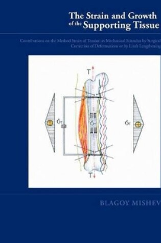 Cover of Strain and Growth of the Supporting Tissues