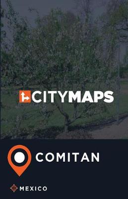 Book cover for City Maps Comitan Mexico