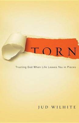 Book cover for Torn