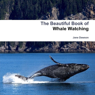 Book cover for The Beautiful Book of Whale Watching