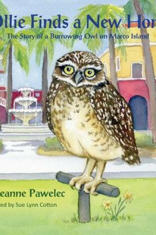 Cover of Ollie Finds a New Home, The Story of a Burrowing Owl on Marco Island