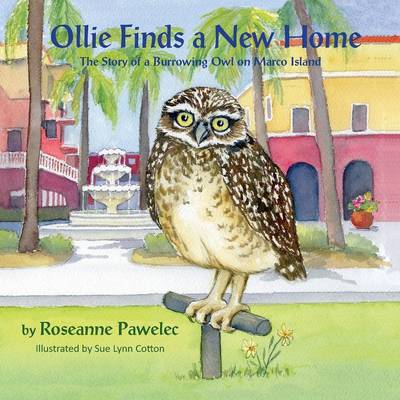 Cover of Ollie Finds a New Home, The Story of a Burrowing Owl on Marco Island