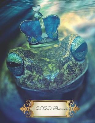 Book cover for Frog Prince Fairy Tale 2020 Diary Planner