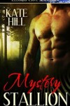 Book cover for Mystery Stallion