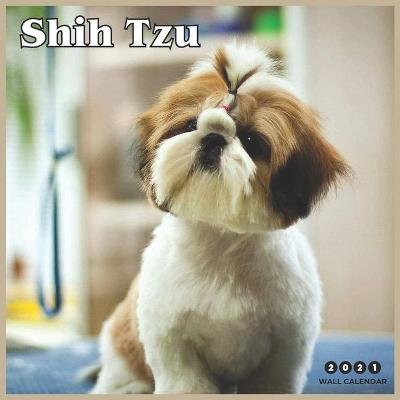 Book cover for Shih Tzu 2021 Wall Calendar