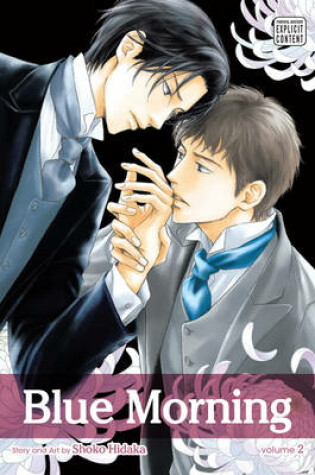 Cover of Blue Morning, Vol. 2