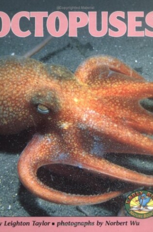 Cover of Octopuses