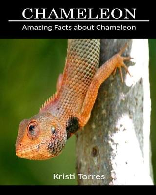 Book cover for Amazing Facts about Chameleon
