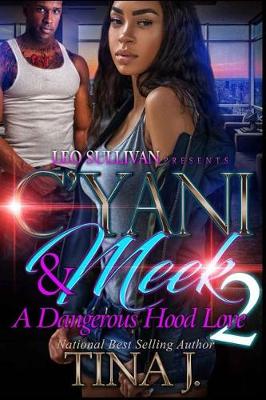 Book cover for C'Yani & Meek 2