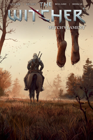 Cover of The Witcher Volume 6: Witch's Lament